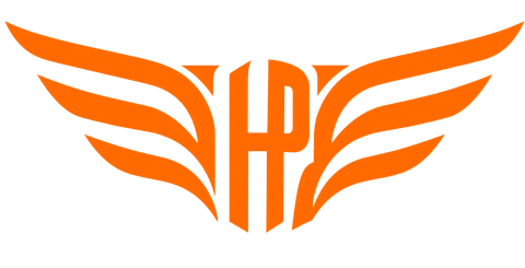 Holistic Pilot wings logo